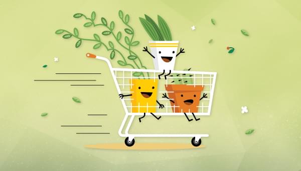 1713400753fast-magento-website